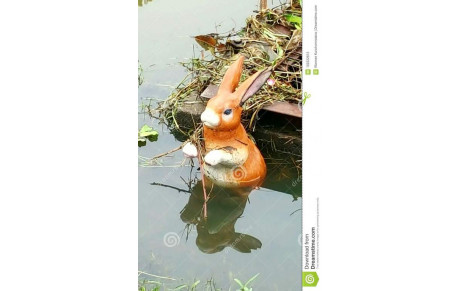 Bonne Année du Lapin