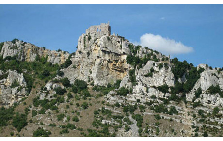 stage d'été avec le Dr Liu Dong